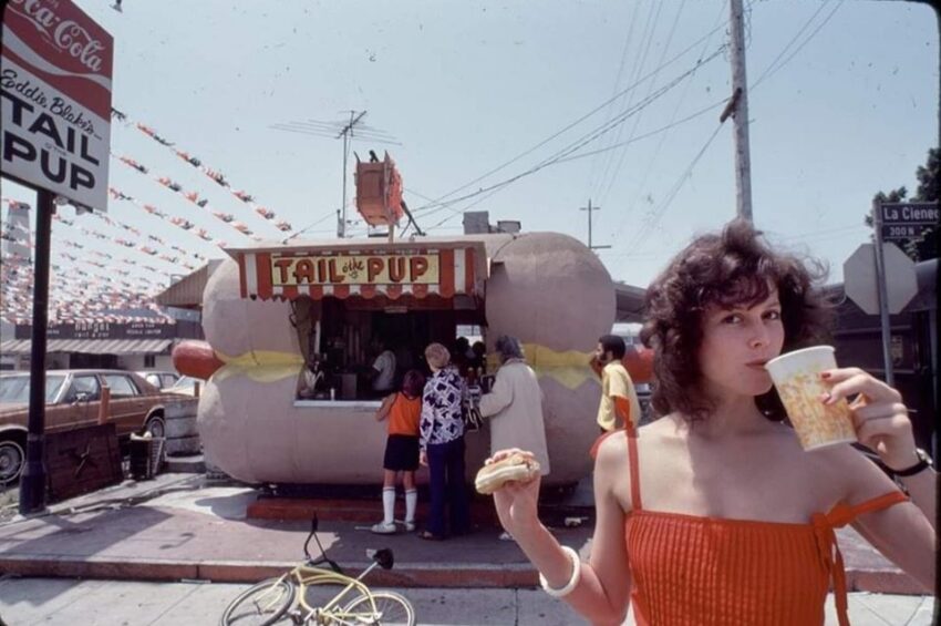 Weaver’s Hot Dogs: The Definitive Guide to Taste, History, and Quality