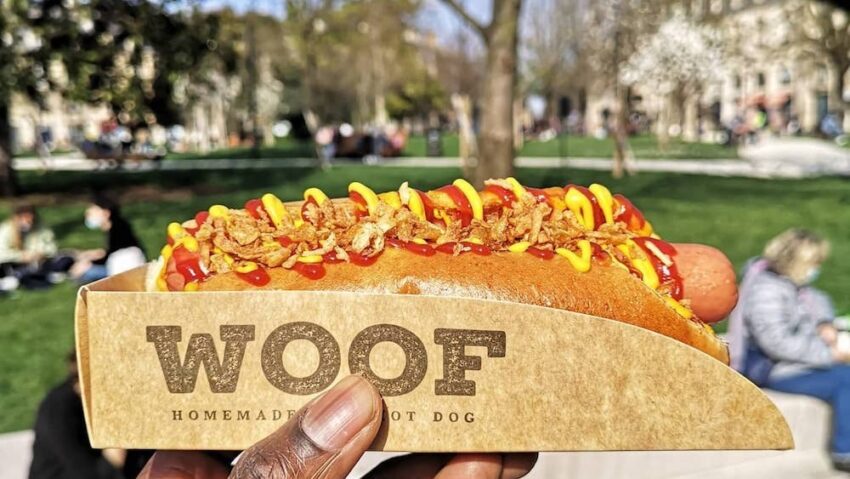 Kate Spade Hot Dog: A Deep Dive into the Whimsical World of Designer Novelty
