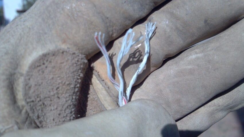 Hot Wire for Dogs: Expert Guide to Safe & Effective Containment
