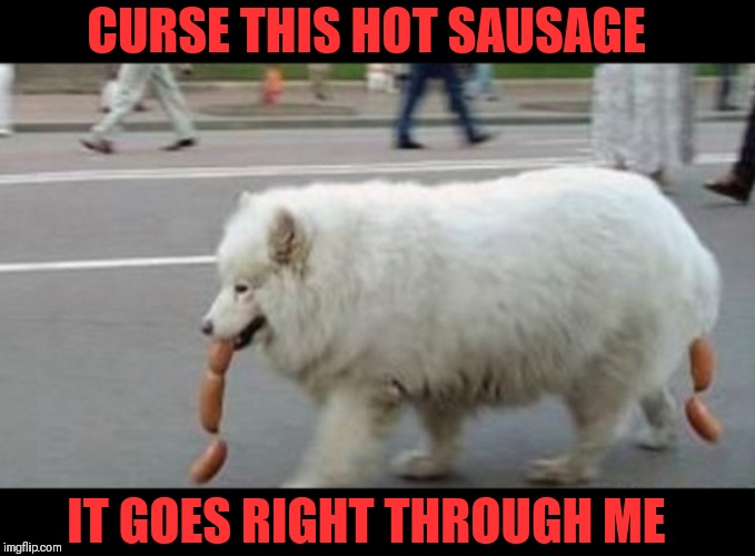 Hot Dog Meme GIF: The Ultimate Guide to Hilarious Wurst Humor