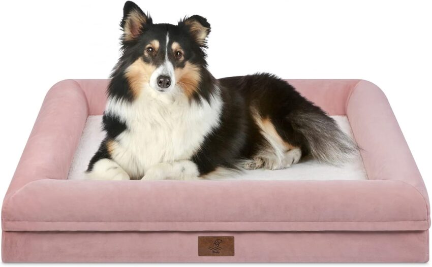 Hot Pink Dog Bed: The Ultimate Guide to Comfort & Style