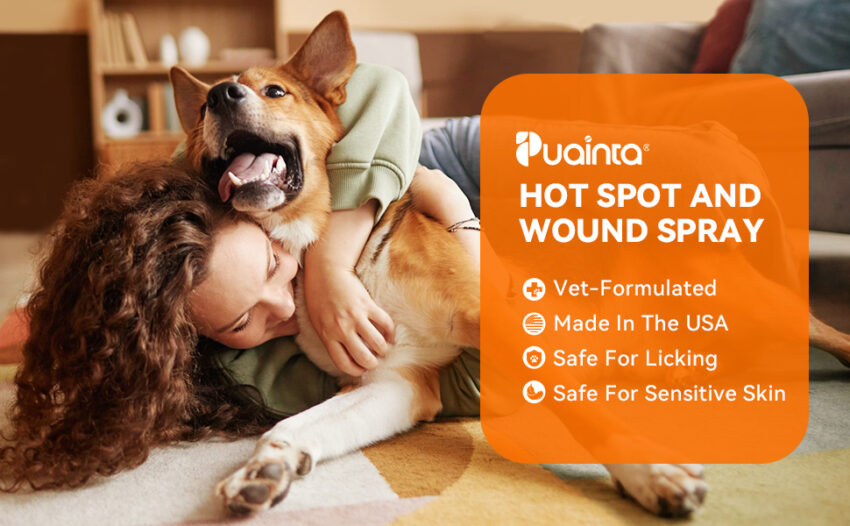 Natural Dog Hot Spot Treatment: Soothe Your Pup’s Itch Naturally