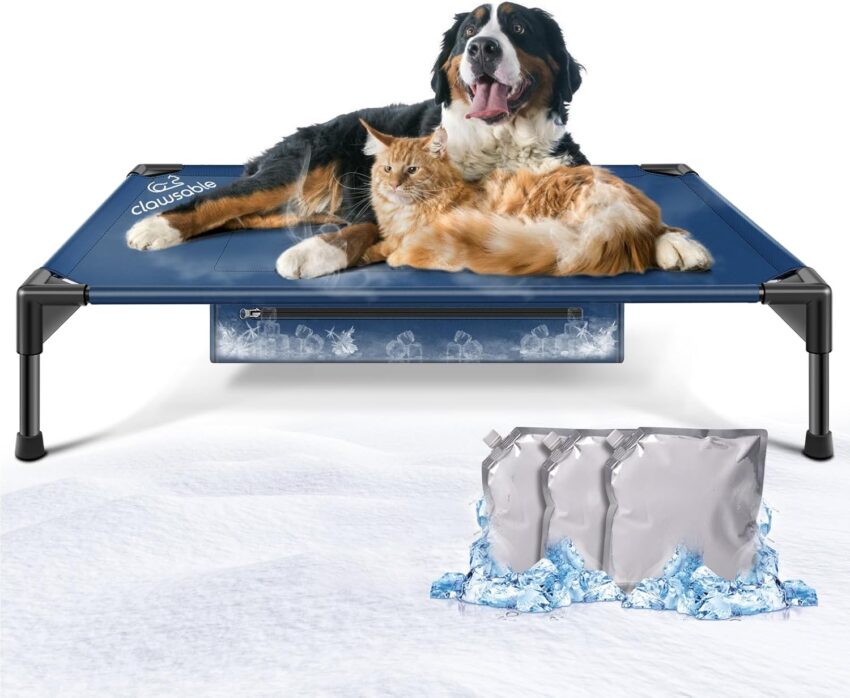 Hot Dog Dog Bed: The Ultimate Guide to Comfy Canine Cuisine Couture