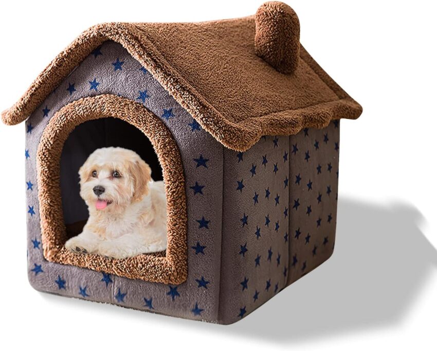 Cat Hot Dog: Is It Safe? Expert Guide to Novel Pet Treats