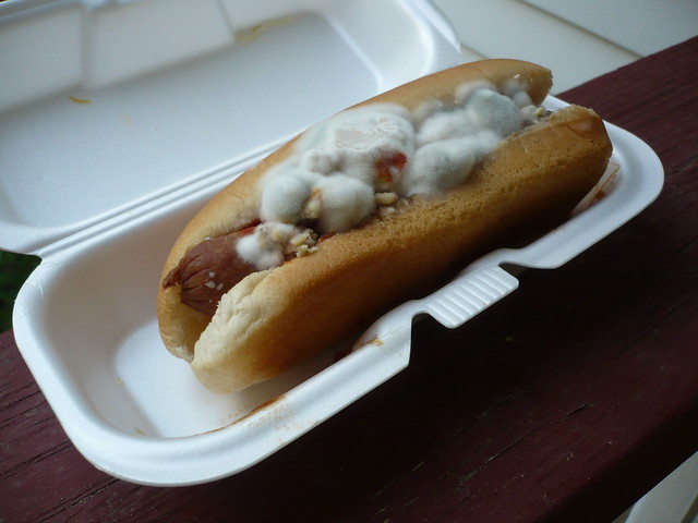 Moldy Hot Dogs: A Comprehensive Guide to Identification, Risks, and Prevention