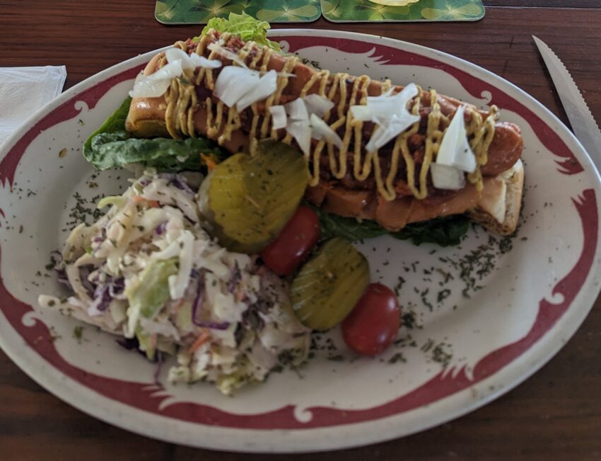 Connecticut Hot Dogs: A Deep Dive into the State’s Culinary Icon