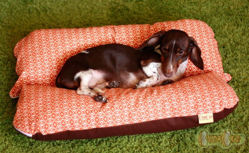 Snug as a Bug: Finding the Perfect Hot Dog Dachshund Bed