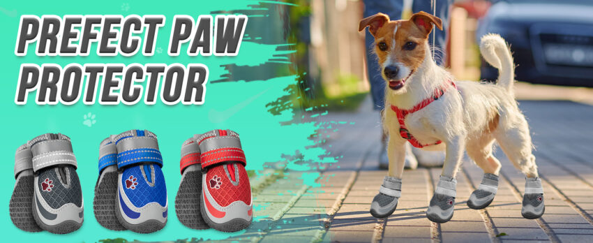 Dog Shoes for Hot Asphalt: Protect Your Pup’s Paws!