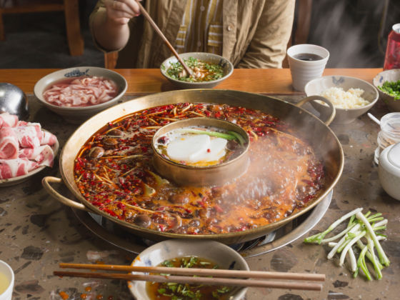 Can Dogs Eat Hot Food? Safety, Risks & Expert Feeding Guide