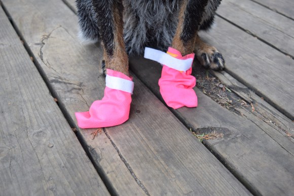 Best Dog Booties for Hot Concrete: Protect Your Pup’s Paws!