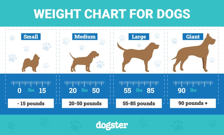 Hot Dog Weight: Unveiling the Average & Nutritional Facts