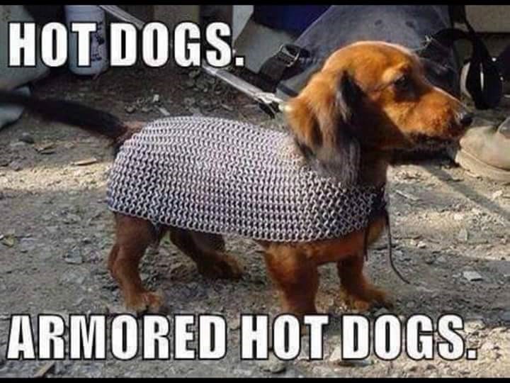 Armor Hot Dog: The Definitive Guide to Deliciousness & Quality