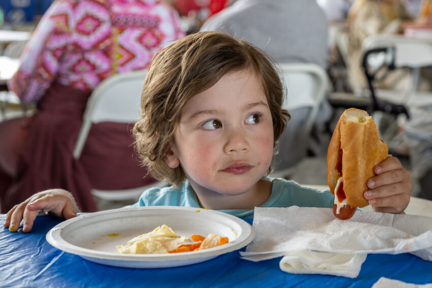McKenzie Hot Dogs: An Expert’s Guide to Quality, Taste, and Tradition