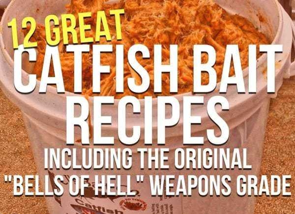Hot Dogs as Catfish Bait? The Ultimate Guide to Catching Cats!