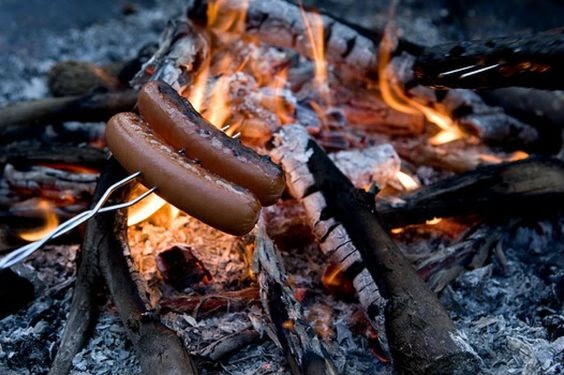 Hot Dog Roast: The Ultimate Guide to Roasting Perfection
