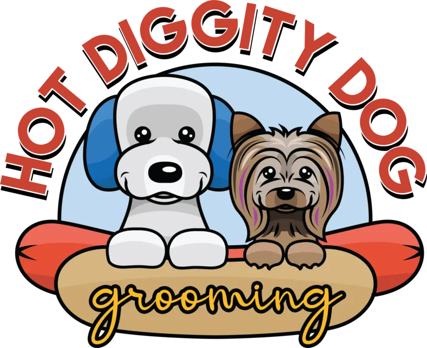 Hot Diggity Dog: The Ultimate Guide to Understanding & Enjoying It