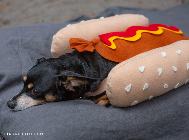 🌭 Dress to Impress: The Ultimate Guide to Halloween Hot Dog Costumes