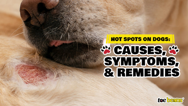 Green Spots on Hot Dogs: A Comprehensive Guide to Safety & Causes