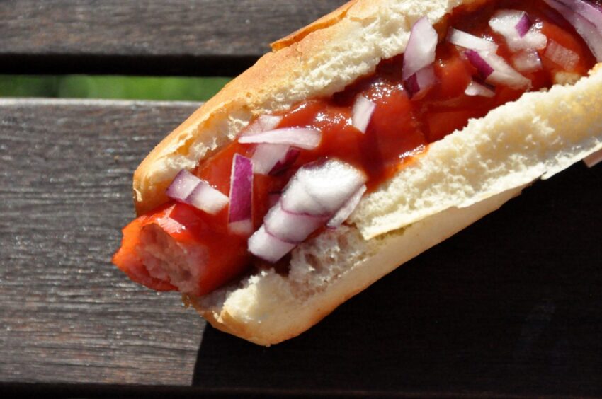 Best Hot Dogs America: An Expert’s Guide to the Top Dogs