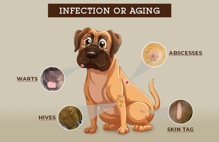 Hot Dog Lips: Understanding, Treatment & Prevention – Expert Guide