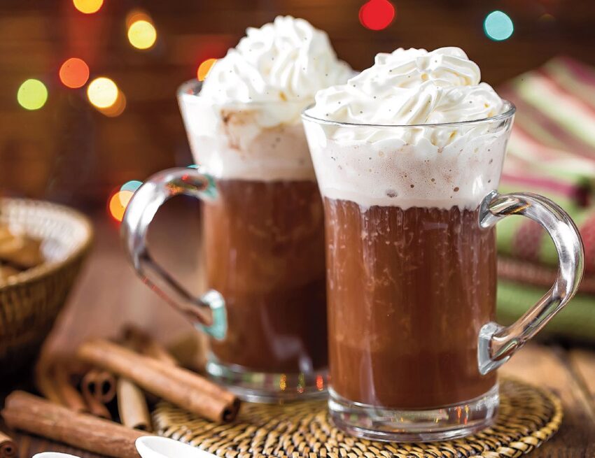 Dog Hot Chocolate: Is It Safe? Expert Guide & Alternatives