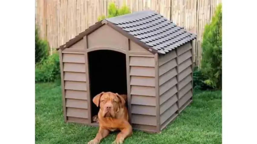 Dog Houses for Hot Climates: Keep Your Pup Cool & Comfortable
