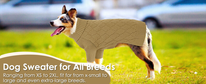 Hot Dog Sweater: The Ultimate Guide to Keeping Your Wiener Warm!