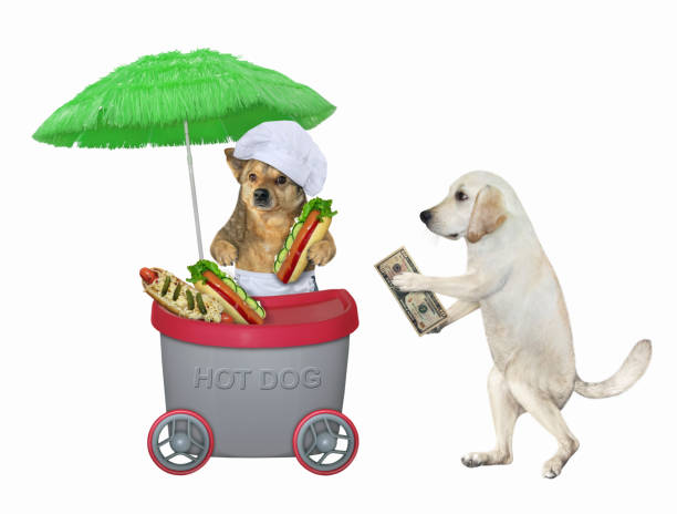 Hot Dog Money: The Ultimate Guide to Side Hustle Success (2024)