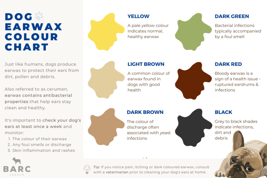 Dog Ear Hot Spot Relief: Expert Guide to Symptoms, Treatment & Prevention