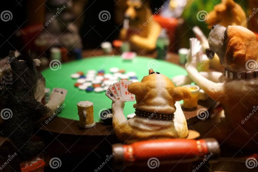 Hot Dog Poker: The Ultimate Guide to Rules, Strategy, & Winning