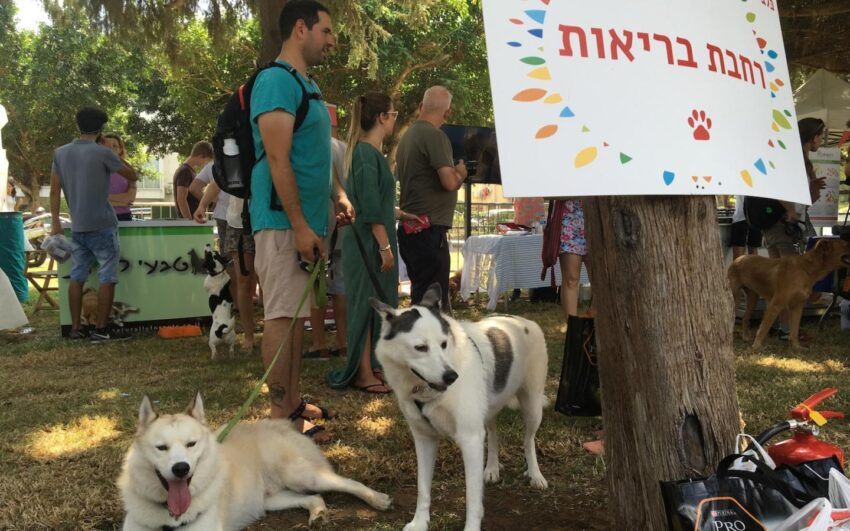 Are Hot Dogs Jewish? Exploring Kosher Laws & Culinary Traditions