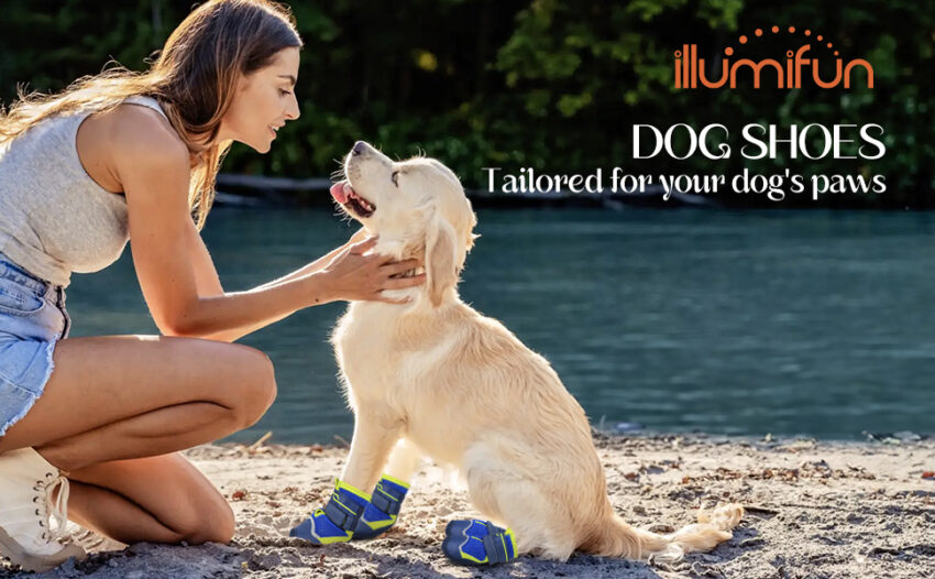 Hot Pavement Dog Booties: Ultimate Guide to Paw Protection