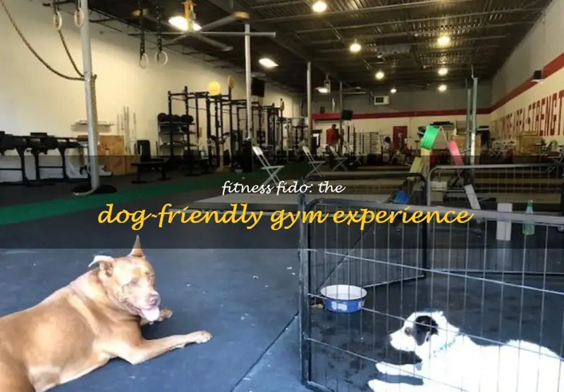 Hot Dog Gym: The Ultimate Guide to Wieners, Weights, and Wellness