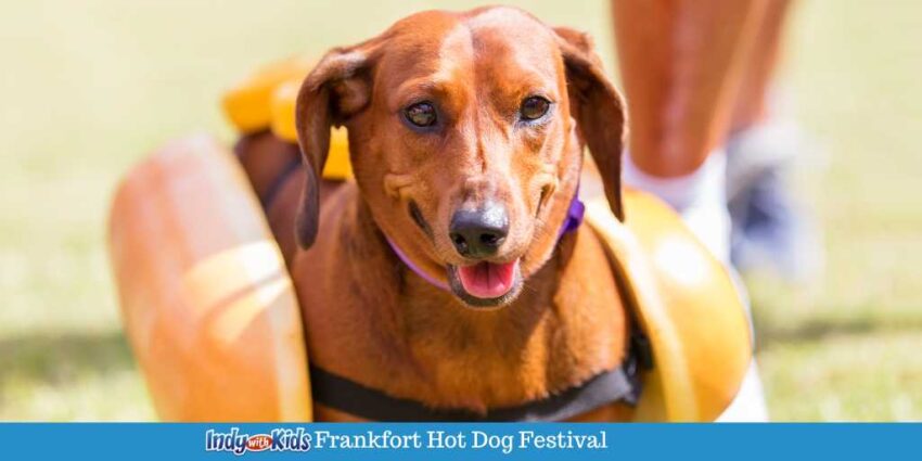 Frankfort Hot Dogs & Football: A Winning Combination!