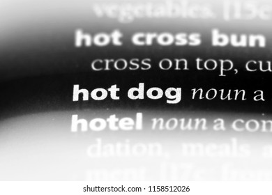 Urban Dictionary Hot Dog: The Definitive (and Hilarious) Guide [2024]