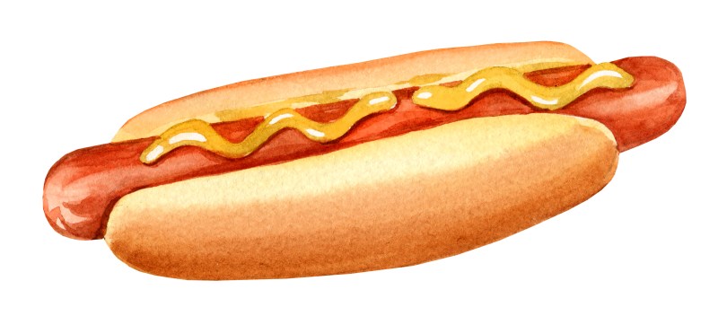 Calories in 1 Hot Dog: The Definitive Guide (2024)