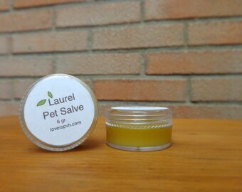 Best Salve for Dog Hot Spots: Relief, Healing & Expert Tips