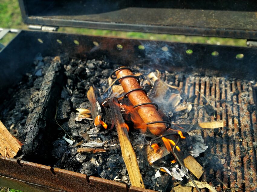Ultimate Guide to Hot Dog Roasters: Expert Reviews & Buying Tips