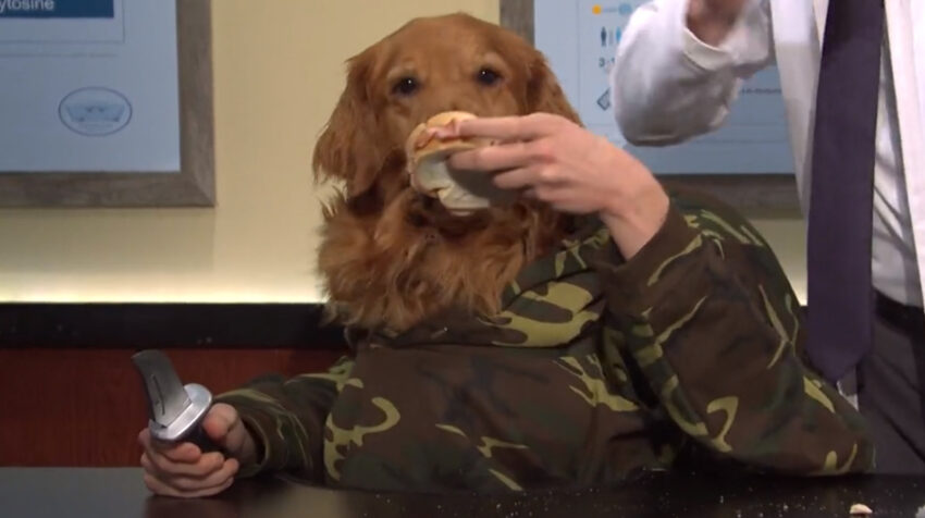 SNL Hot Dog Skit: The Definitive Guide to Comedy’s Culinary Chaos