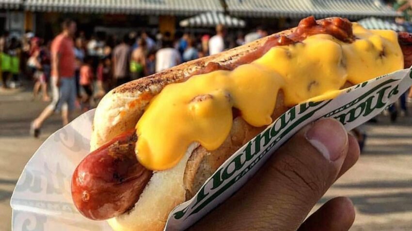 Brandi Hot Dogs: The Ultimate Guide to Taste, Quality & More [2024]