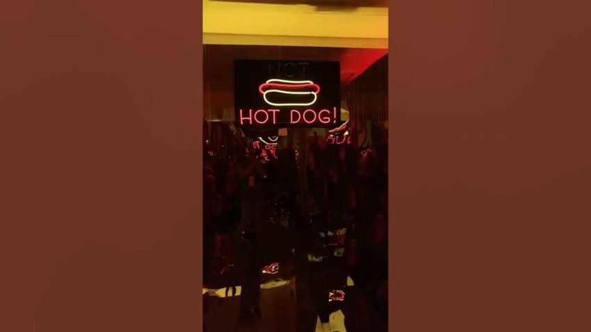 Silicon Valley Hot Dog: The ULTIMATE Guide (2024)