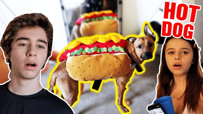 Hot Dogs To Go: Your Expert Guide to Mobile Culinary Delights