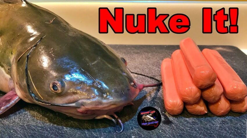 Fishing with Hot Dogs: The Surprisingly Effective Bait (Expert Guide)