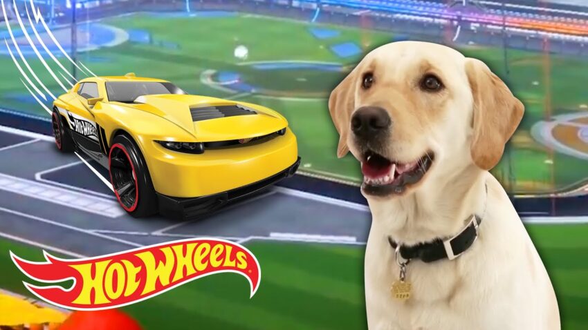 Hot Dog Hot Wheels Car: The Ultimate Collector’s Guide