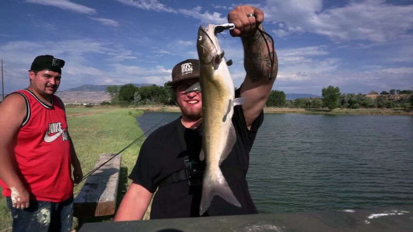 Will Catfish Eat Hot Dogs? Expert Guide to Catfish Diet & Baits