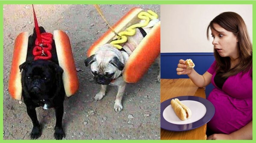 Hot Dog Pregnant: Is It Safe? Expert Pregnancy Nutrition Guide