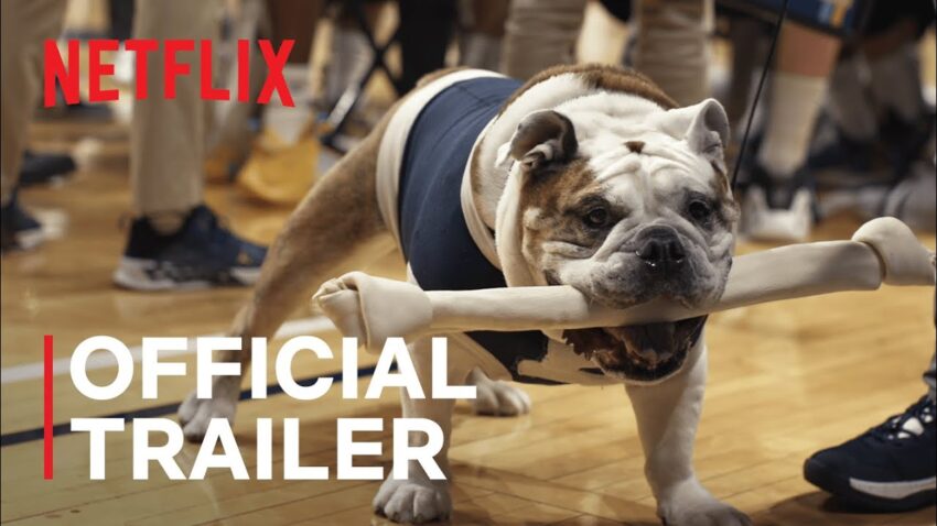 Hot Dog Netflix: Your Ultimate Guide to Food Documentaries