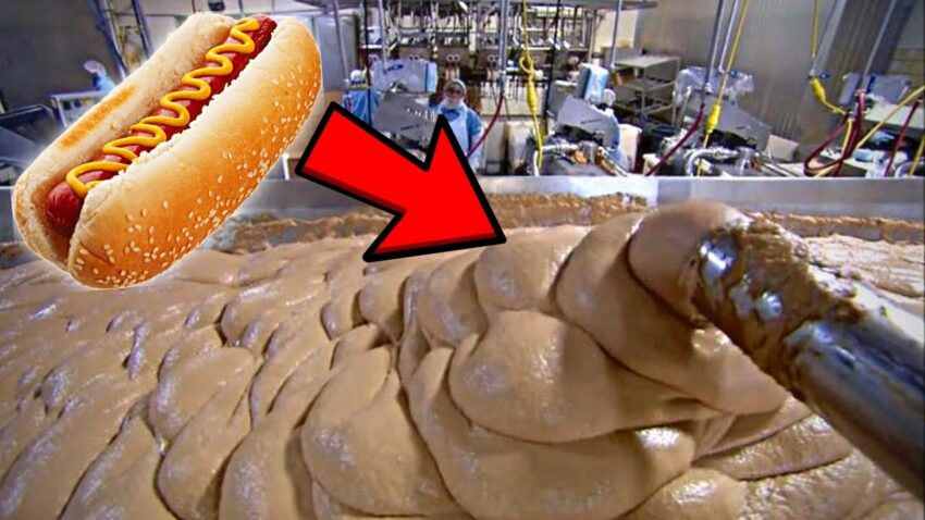 What Is In Hot Dog? An Expert Deep Dive Into Ingredients & Quality