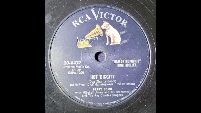 Hot Diggity Dog Ziggity: The Definitive Guide & Expert Review