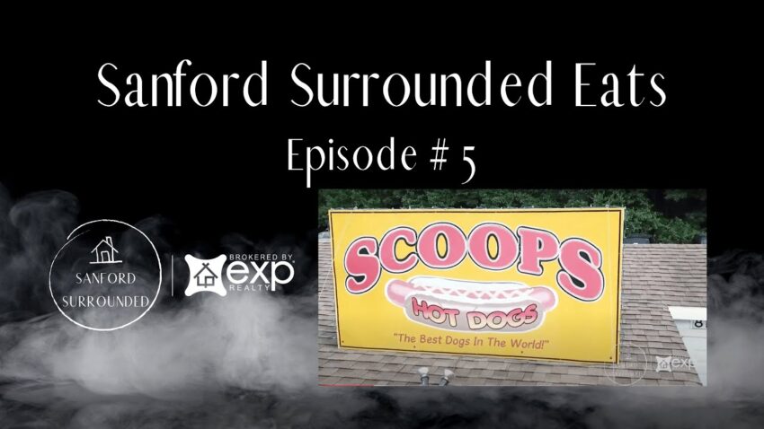 Scoops Hot Dogs: The Ultimate Guide to Elevated Dog Delights